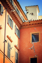 Similar image 772334