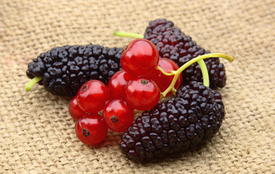 Similar image 772343