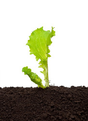 Similar image 772348