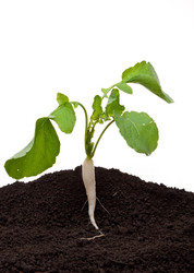 Similar image 772349