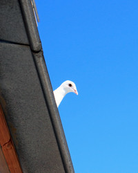 Similar image 772355