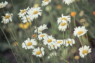 Similar image 772444