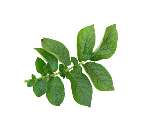 Similar image 772466