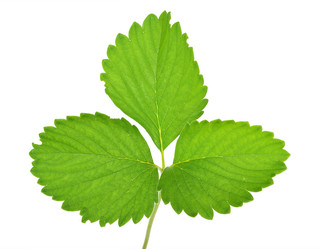 Similar image 772467