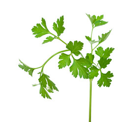 Similar image 772474