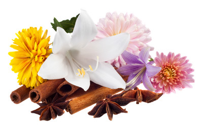 Similar image 772483