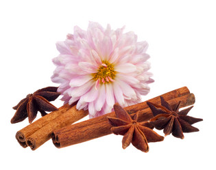 Similar image 772485