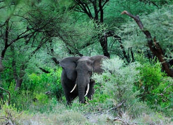 Similar image 772520