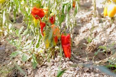 Similar image 772522