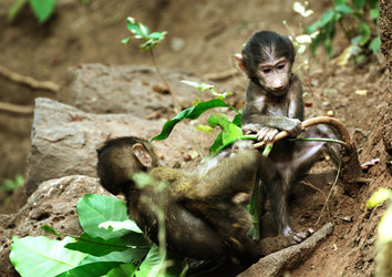 Similar image 772530