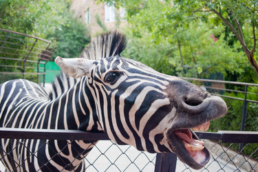 Similar image 772551