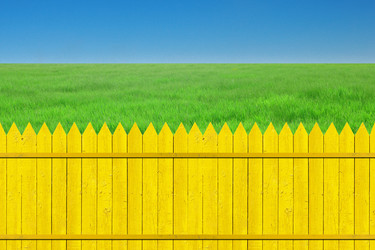 Similar image 772637