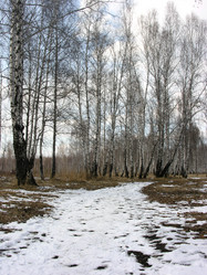 Similar image 772687