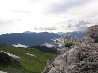 Similar image 772721