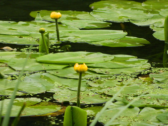 Similar image 772722