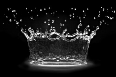 Similar image 772732