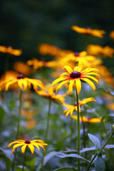 Similar image 772745