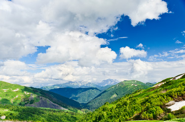 Similar image 772779