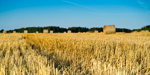 Similar image 772788