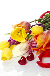 Similar image 772879