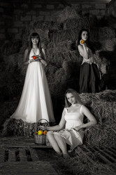 Similar image 772908