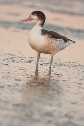 Similar image 773031