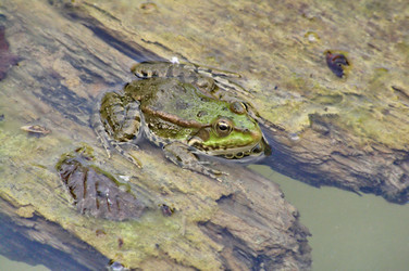 Similar image 773032