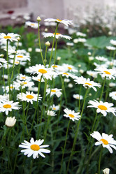 Similar image 773052