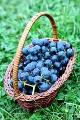 Similar image 773104