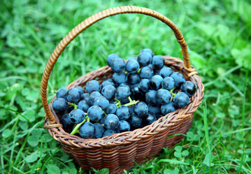 Similar image 773105