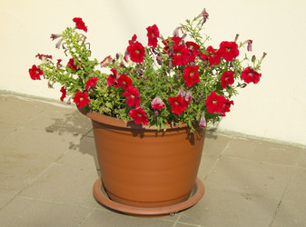 Similar image 773117