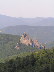 Similar image 773118