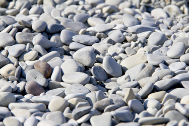 Similar image 773123