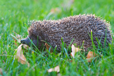 Similar image 773134