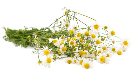 Similar image 773147