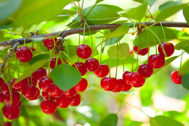 Similar image 773178