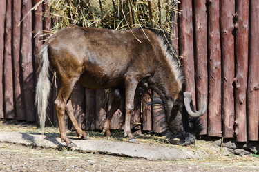 Similar image 773216