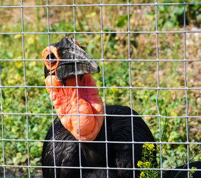 Similar image 773218