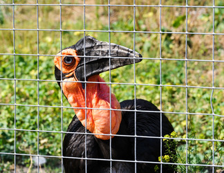 Similar image 773219