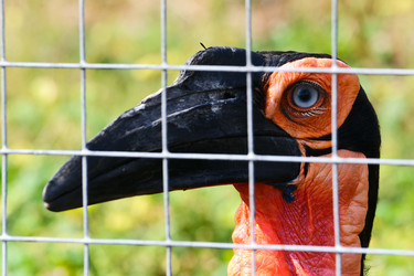 Similar image 773220