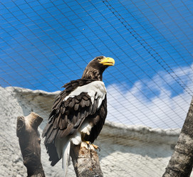 Similar image 773225