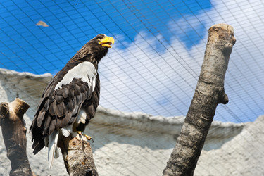 Similar image 773226