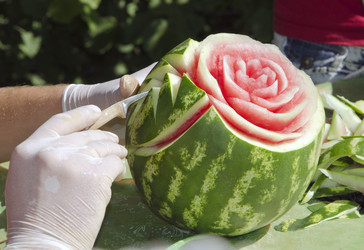 Similar image 773232