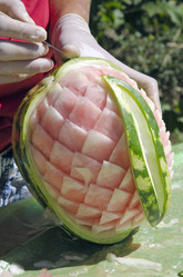 Similar image 773239