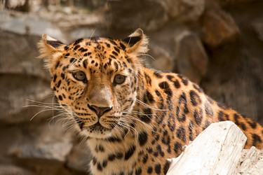 Similar image 773266