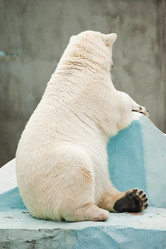 Similar image 773318