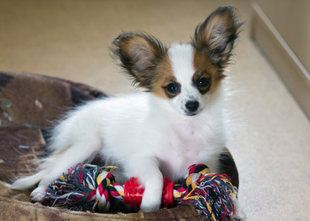 Similar image 773348