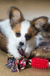 Similar image 773350