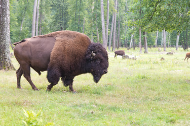 Similar image 773355