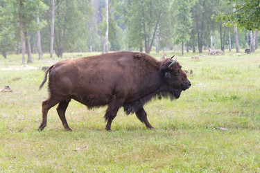 Similar image 773356